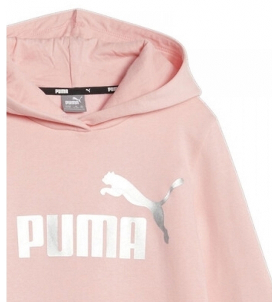 Puma Fw22 Ess+ Logo Hoodie Fl G 670310