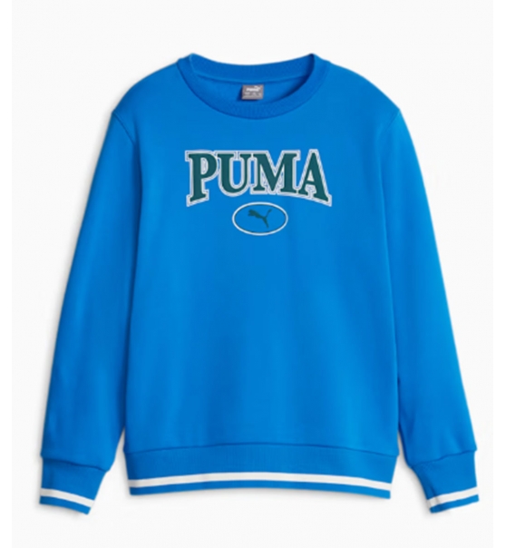 Puma Fw22 Squad Youth Sweatshirt 676355