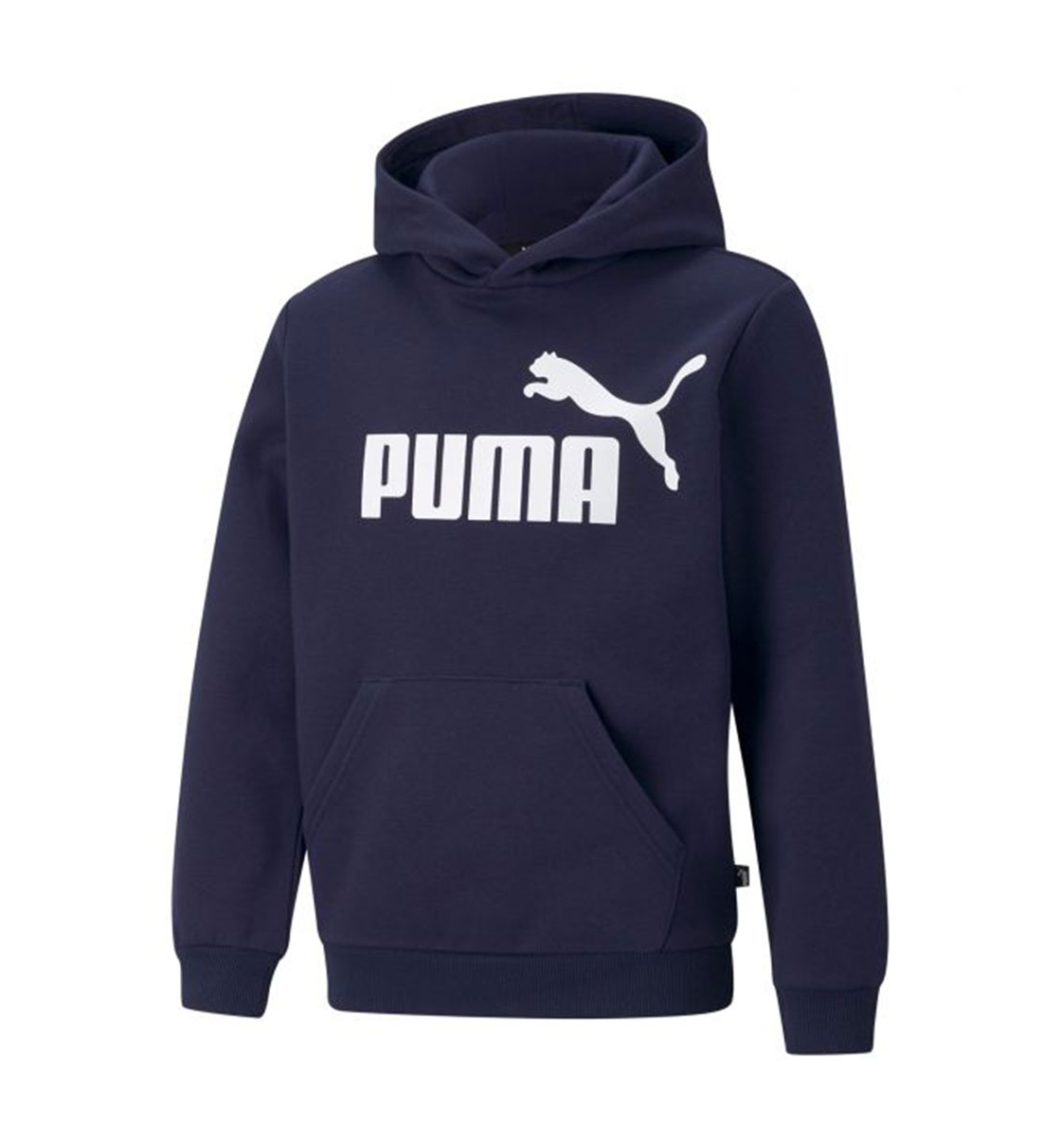 Puma Fw22 Ess Big Logo Hoodie Fl B 586965