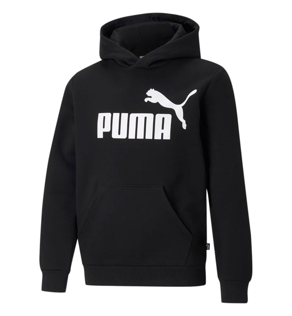 Puma Παιδικό Αθλητικό Παντελόνι  Fw22 Ess Big Logo Hoodie Fl B 586965