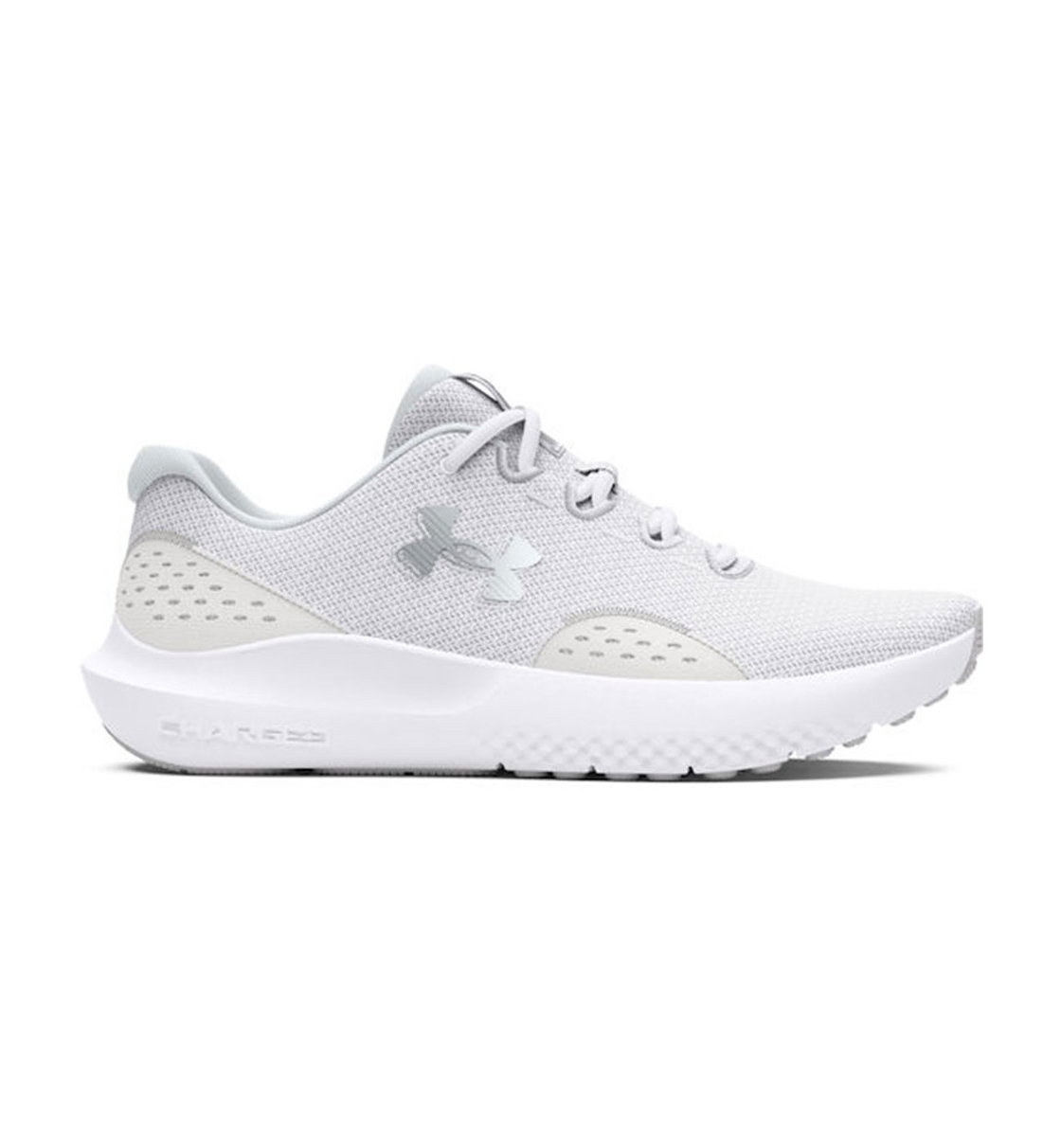 Under Armour Γυναικείο Παπούτσι Running Fw23 W Charged Surge 4 3027007