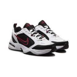 Nike Fw23 Air Monarch Iv 415445