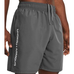 Under Armour Ss23 Woven Wdmk Shorts 1383356