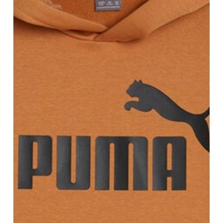 Puma Παιδικό Φούτερ Με Κουκούλα Fw22 Ess Big Logo Hoodie Fl B 586965