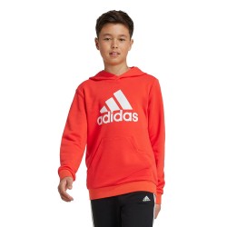 adidas Παιδικό Φούτερ Με Κουκούλα Fw23 U Bl Hoodie Ix9531